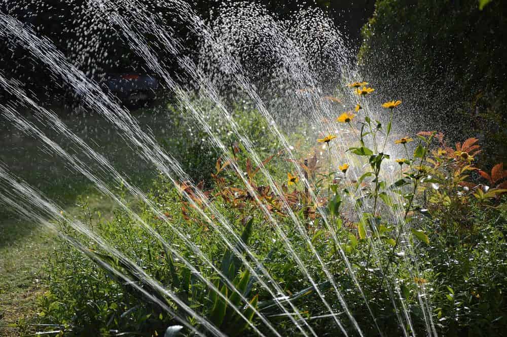 Irrigation Solutions image
